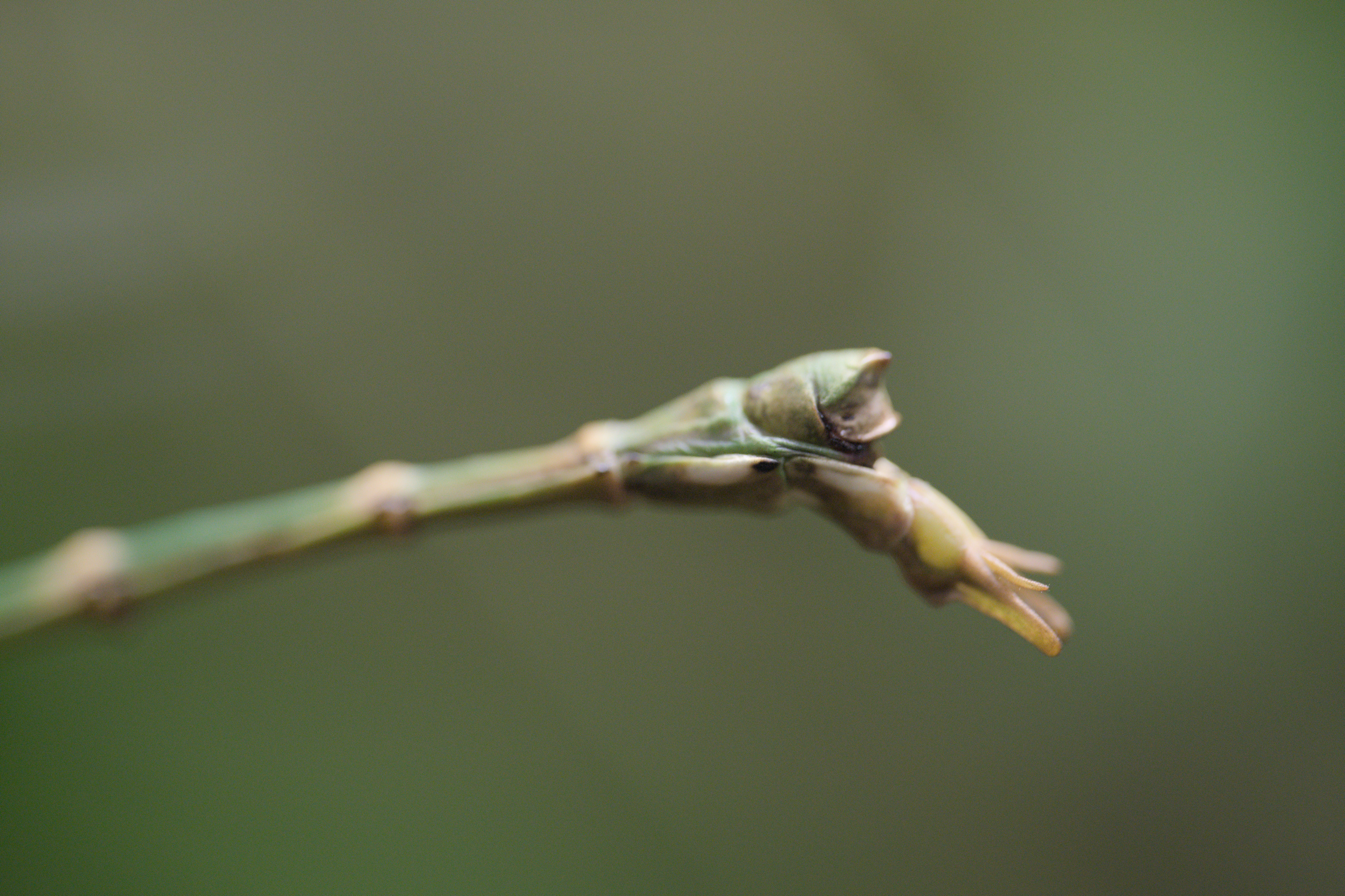 2025/10/12 - zoo/DSC_0212.jpg